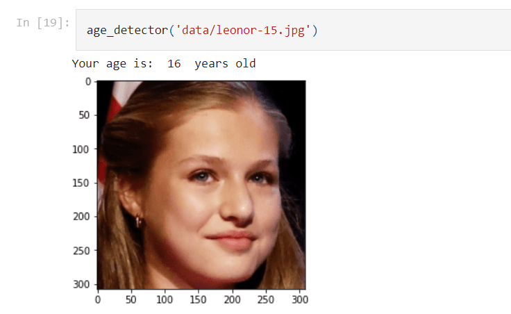 Age Detector (2021 - 2022) image 1